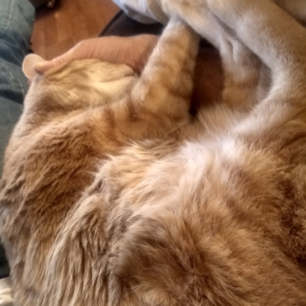 100k THANK YOU FRIENDS - Picture 4 of 14